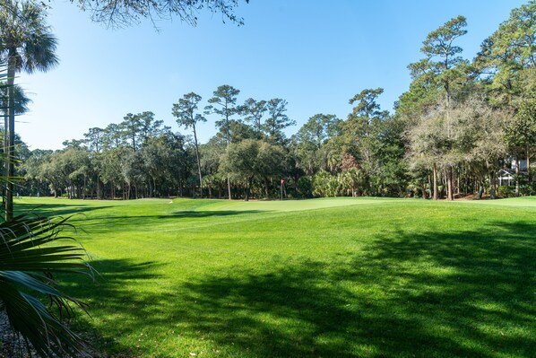 Un parcours de golf avec un terrain verdoyant bien entretenu, entouré d’arbres denses et sous un ciel dégagé.