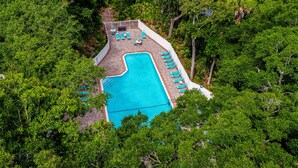 An aerial view of a swimming pool surrounded by lush greenery, with several lounge chairs and a white fence enclosing the area.
