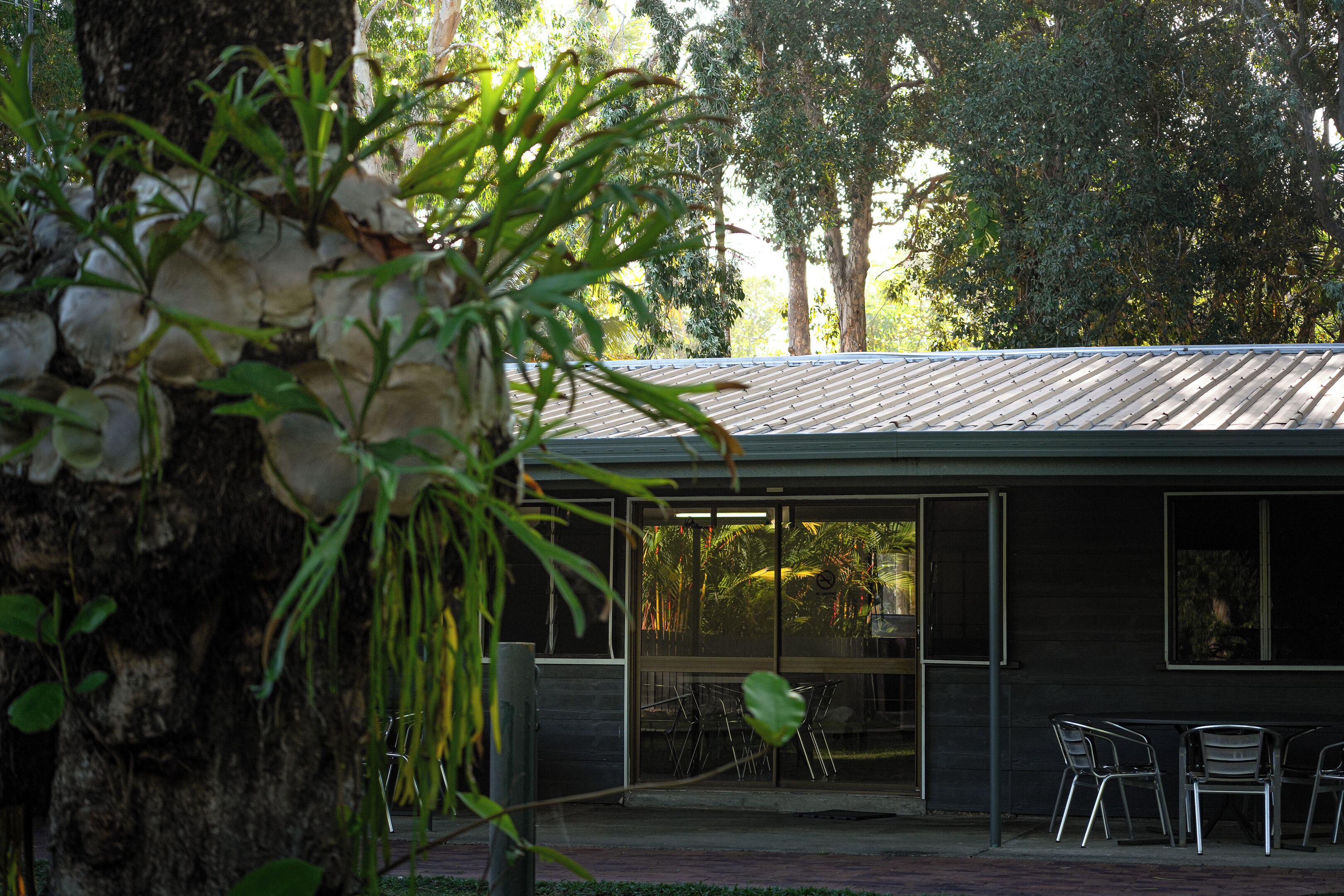 Un bâtiment moderne avec une entrée dotée d’une porte en verre, un patio aménagé avec des chaises, et une vue sur les arbres et la végétation.