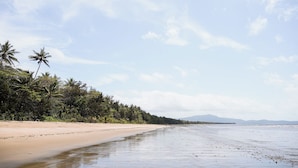Une plage avec un rivage sablonneux, des palmiers et une mer calme sous un ciel partiellement nuageux.