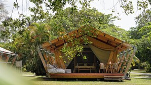 Une structure en bois comprenant un banc et une table, entourée d’une végétation luxuriante.