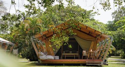 Daintree Beach Resort