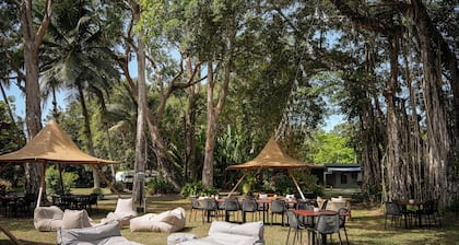 Daintree Beach Resort