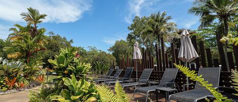 A poolside area with lounge chairs and umbrellas, surrounded by tropical plants and palm trees.