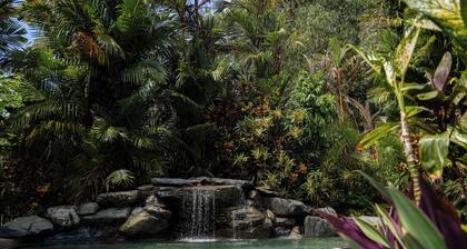 Daintree Beach Resort