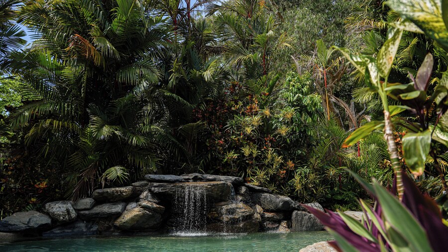 Daintree Beach Resort