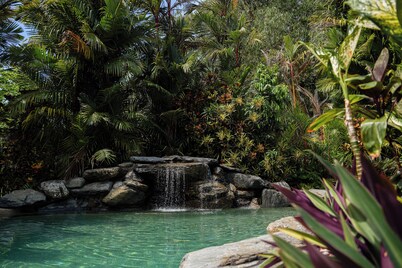 Daintree Beach Resort