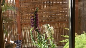 En potteplante med hvide blomster og en høj lilla blomst i en stor potte, placeret på en fliseterrasse med et bambushegn i baggrunden.