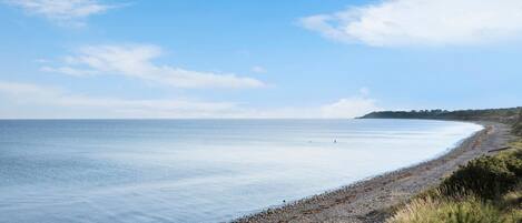 Beach nearby, fishing