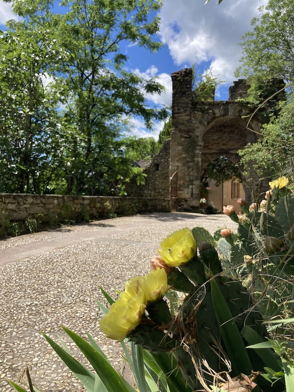 Property grounds - "Lou Cambrou" Cottage/Gîte located in the historic quarter of the Fortress of Najac (Najac)