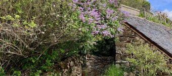 "Lou Cambrou" Cottage/Gîte located in the historic quarter of the Fortress of Najac