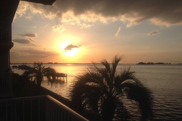 Property grounds - Watch Dolphins & Sunsets from Your Private Porch! Waterfront Condo Heated Pool, BBQ, Pier, Clubhouse (Dunedin)