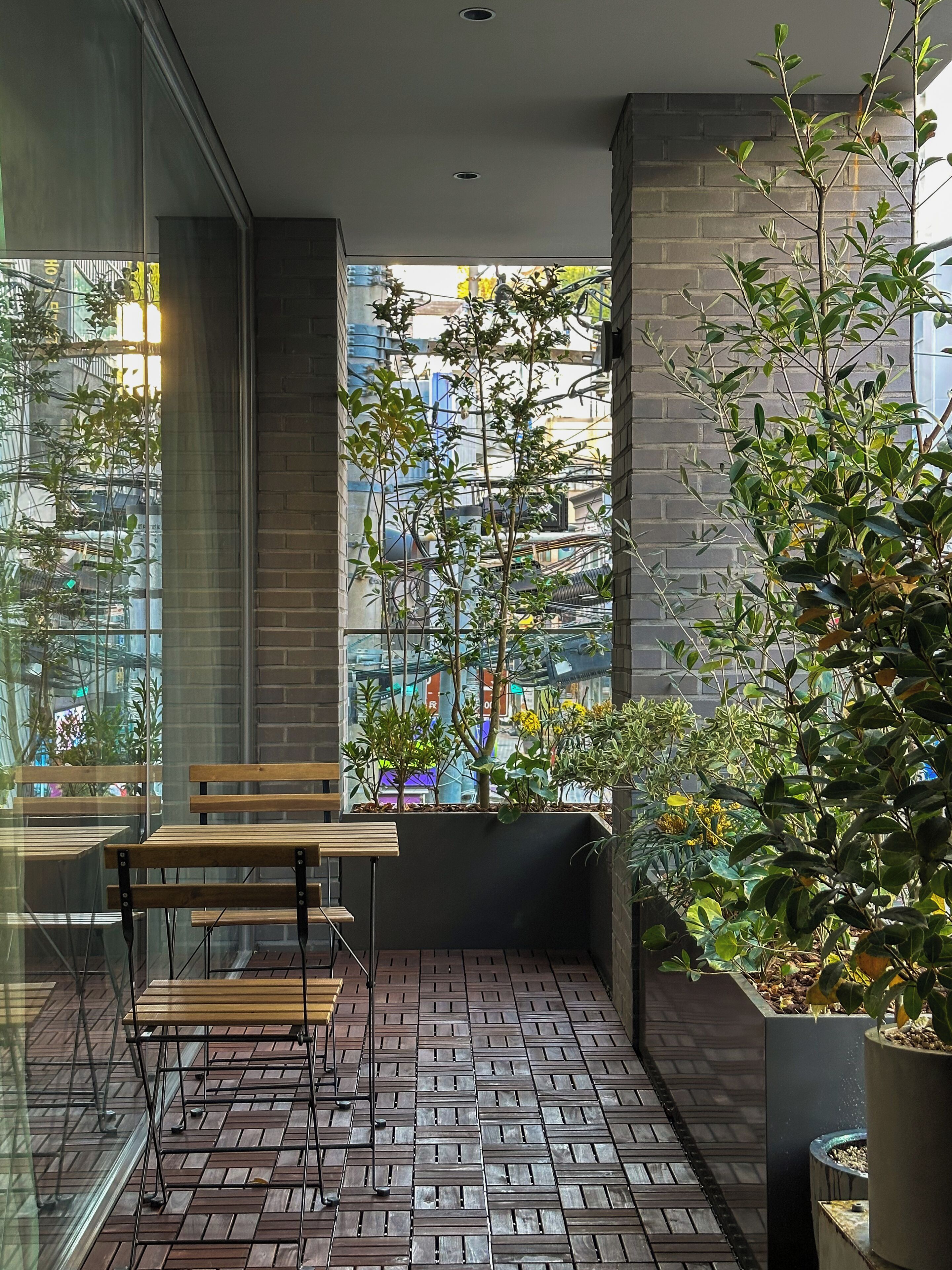 Vista desde la habitación