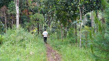 A person walking on a narrow dirt path surrounded by dense greenery and trees.
