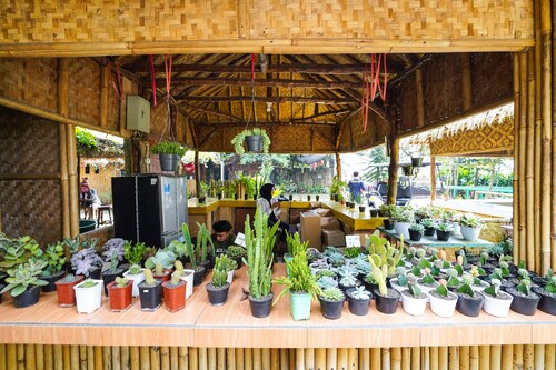 OYO Homes 91006 Eco Tourism Desa Cibodas Areng 5 Syariah