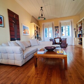 TV connectée, cheminée, lecteur de DVD, livres