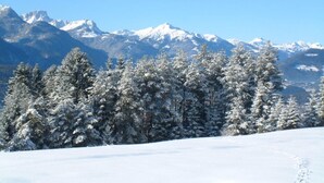 Un paysage enneigé, avec des arbres et des montagnes couverts de neige en arrière-plan.