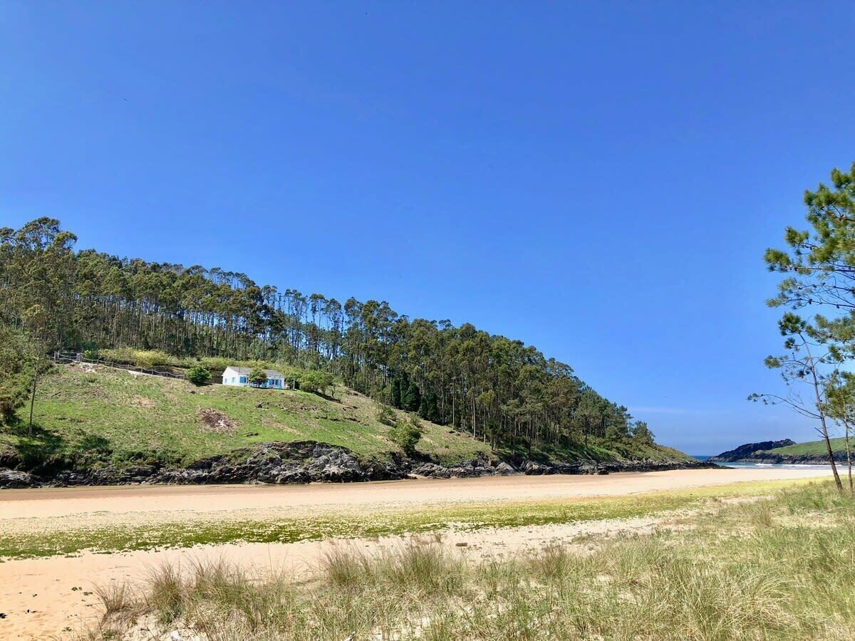 Paisagem costeira com praia de areia, uma pequena casa numa colina gramada e floresta densa ao fundo.