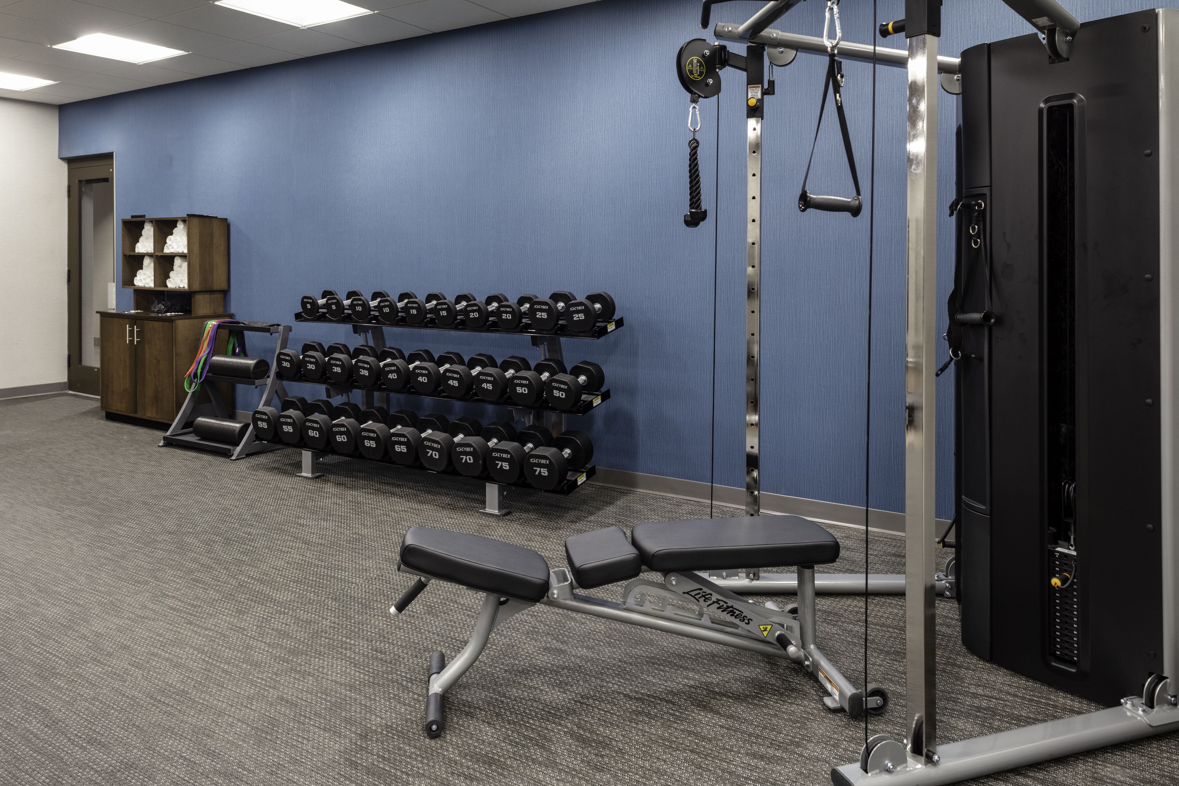 A gym with weightlifting equipment, dumbbells, and benches.