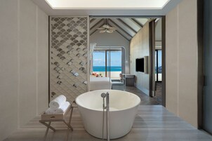 Combined shower/bathtub, rainfall showerhead, hair dryer, bathrobes