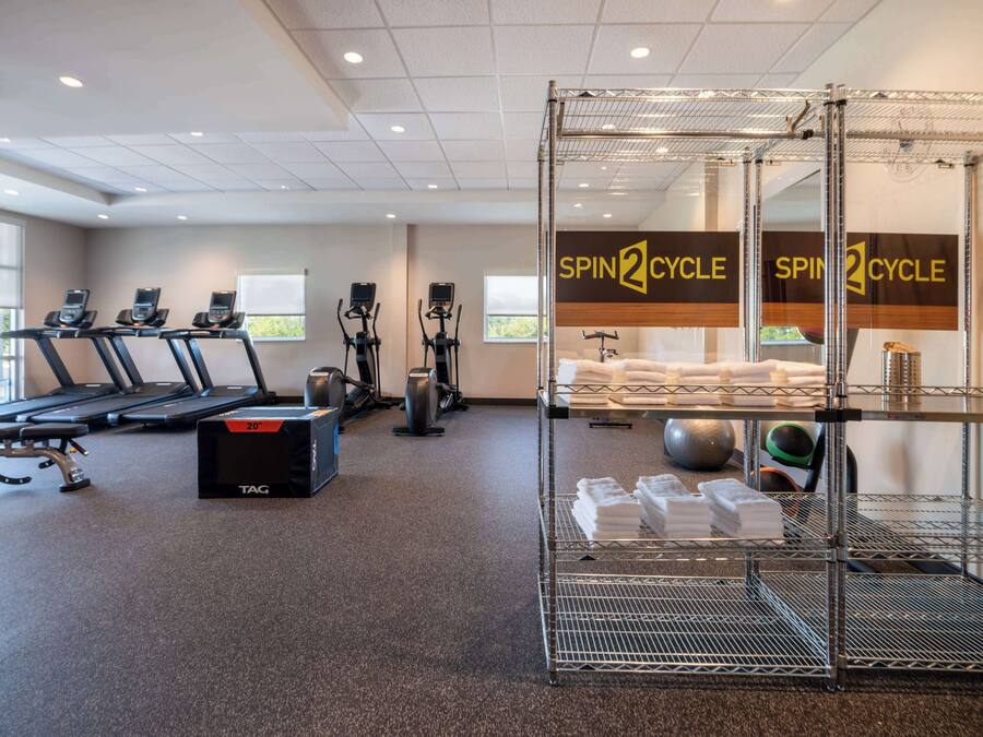 A gym with treadmills, elliptical machines, and a spin cycle area.
