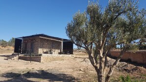Un edificio de piedra con techo metálico, rodeado de un paisaje seco y un olivo.