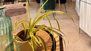 Un área de comedor con una mesa, sillas, una planta en maceta y un atril para el menú.