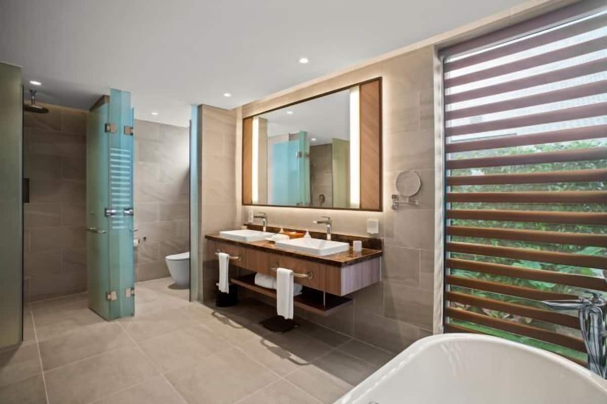 Separate tub and shower, free toiletries, hair dryer, bathrobes