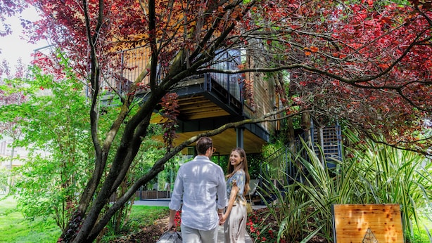 A couple walking through a garden with a wooden sign that reads "TREELODGY YOUR NATURE EXPERIENCE". - Treelodgy (Riva del Garda)