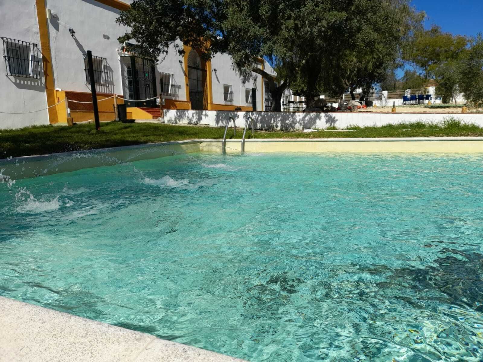 A clear pool with a diving board, surrounded by a white building with yellow trim and a tree.