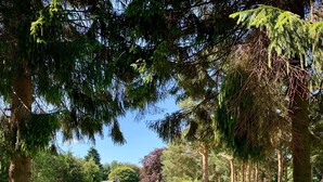 Un parc amb taules de picnic, una banca i autocaravanes al fons.