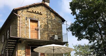 Olmi Apt. - Casa Domenica-Home&more