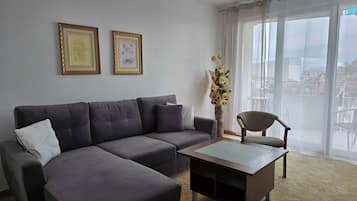 Fernseher, Arbeitsbereiche