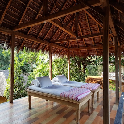 Forest Trails Adventure Resort