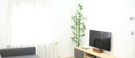 تلفزيون ذكي