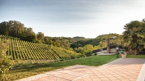A vineyard with terraced rows of grapevines, a paved walkway, and a brick building with a chimney. - Tenuta Cà dei Mandorli (Castel Boglione)