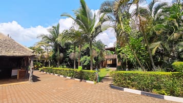 Pemandangan taman