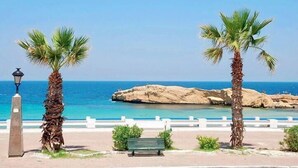 Un paseo marítimo con palmeras, un banco y un promontorio rocoso al fondo.