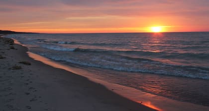 Cozy Downtown Cottage, Walk to Beach, Fire Pit