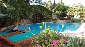 A swimming pool with a stone wall and tropical plants.