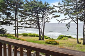 A coastal view with trees and a bench overlooking the ocean.