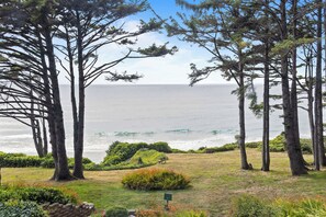 A coastal landscape with tall trees, a grassy area, and a view of the ocean.
