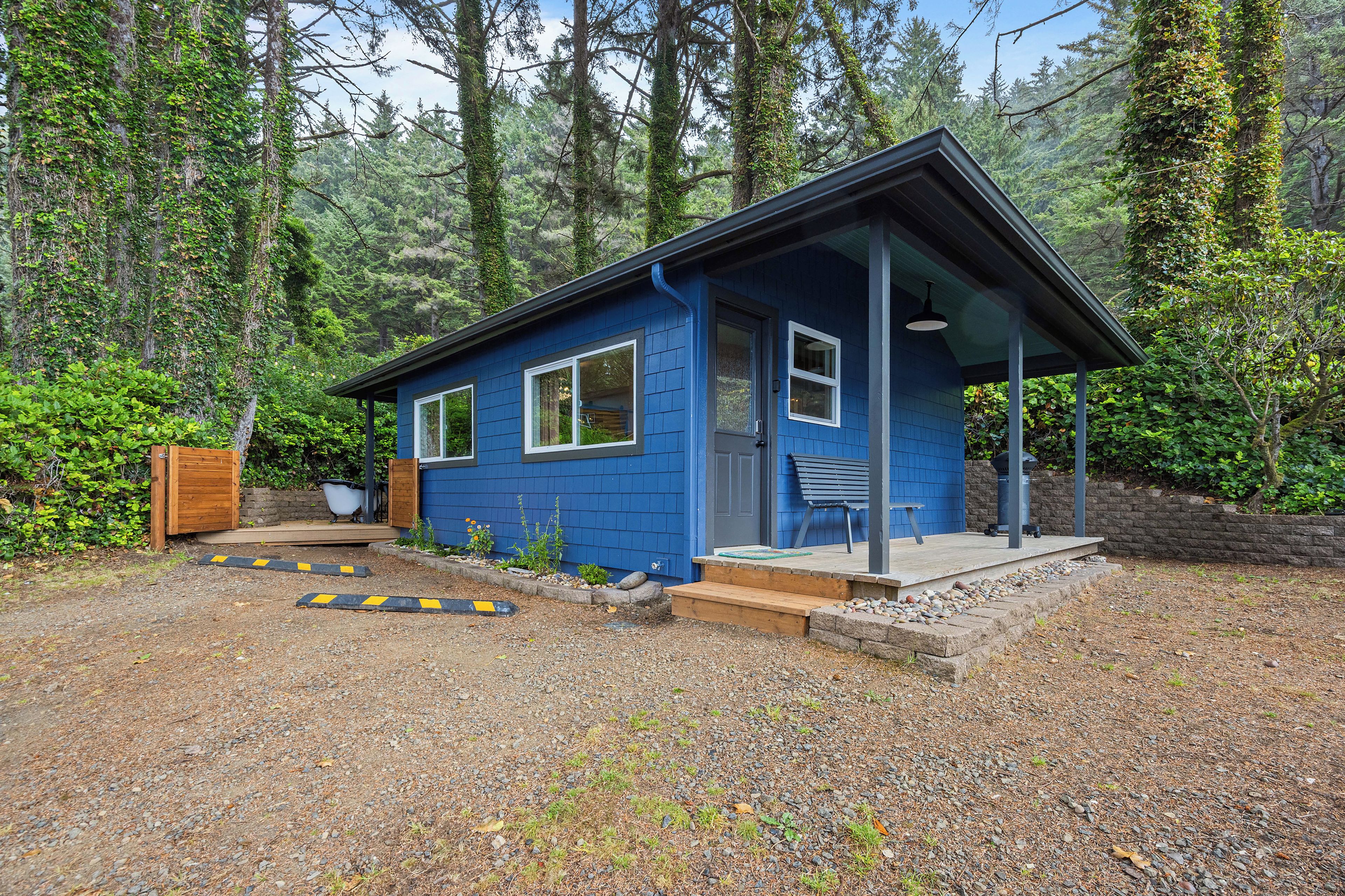 A small blue cabin with a porch, surrounded by dense forest.