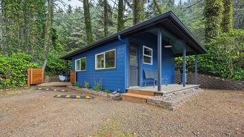 A small blue cabin with a porch, surrounded by dense forest.