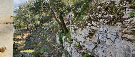 Parco della struttura
