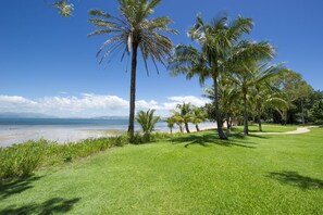 Nära stranden
