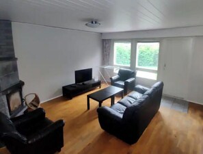 Televisión y chimenea