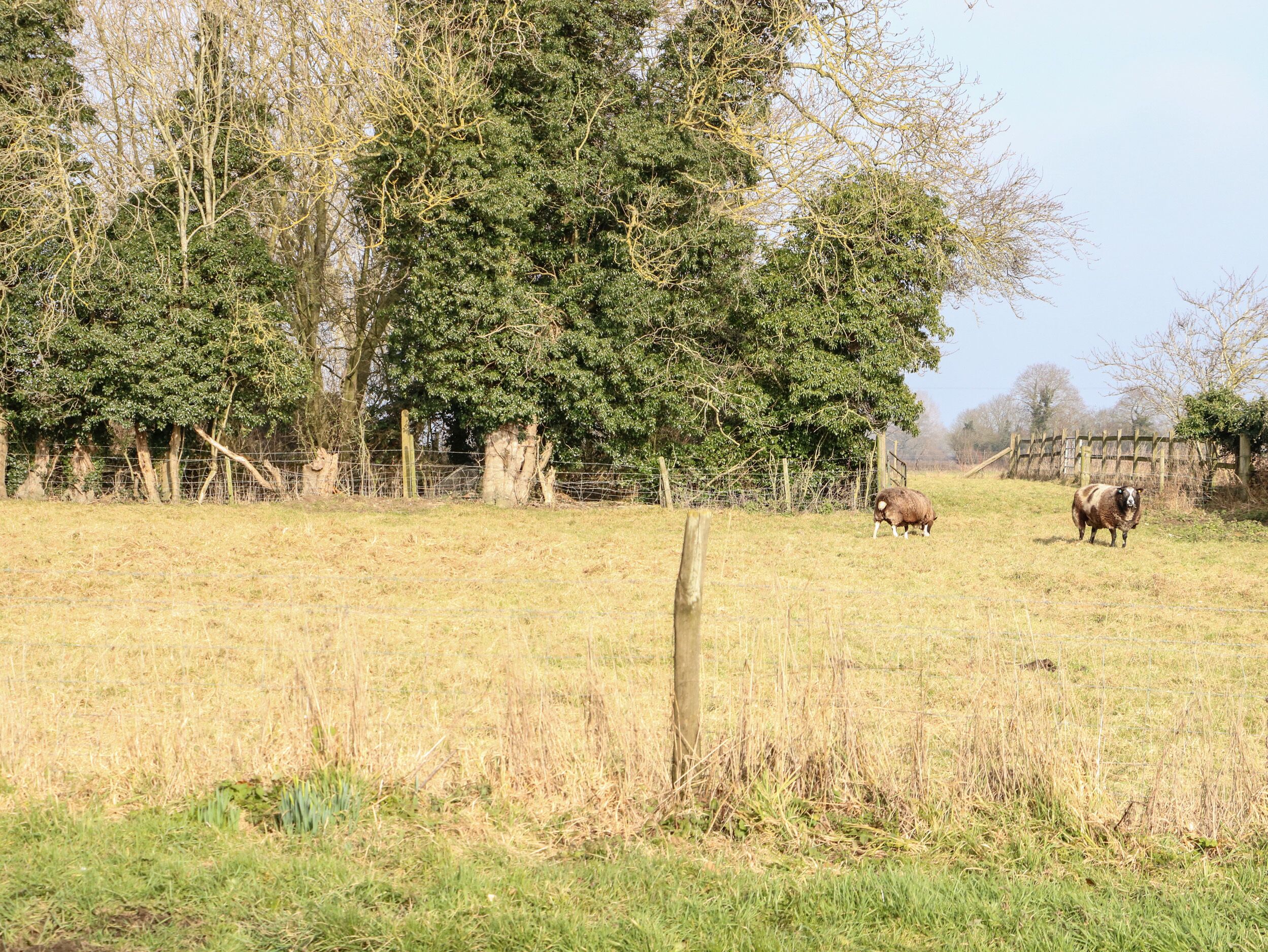 A rural landscape with a fenced field, trees, and a wooden structure.