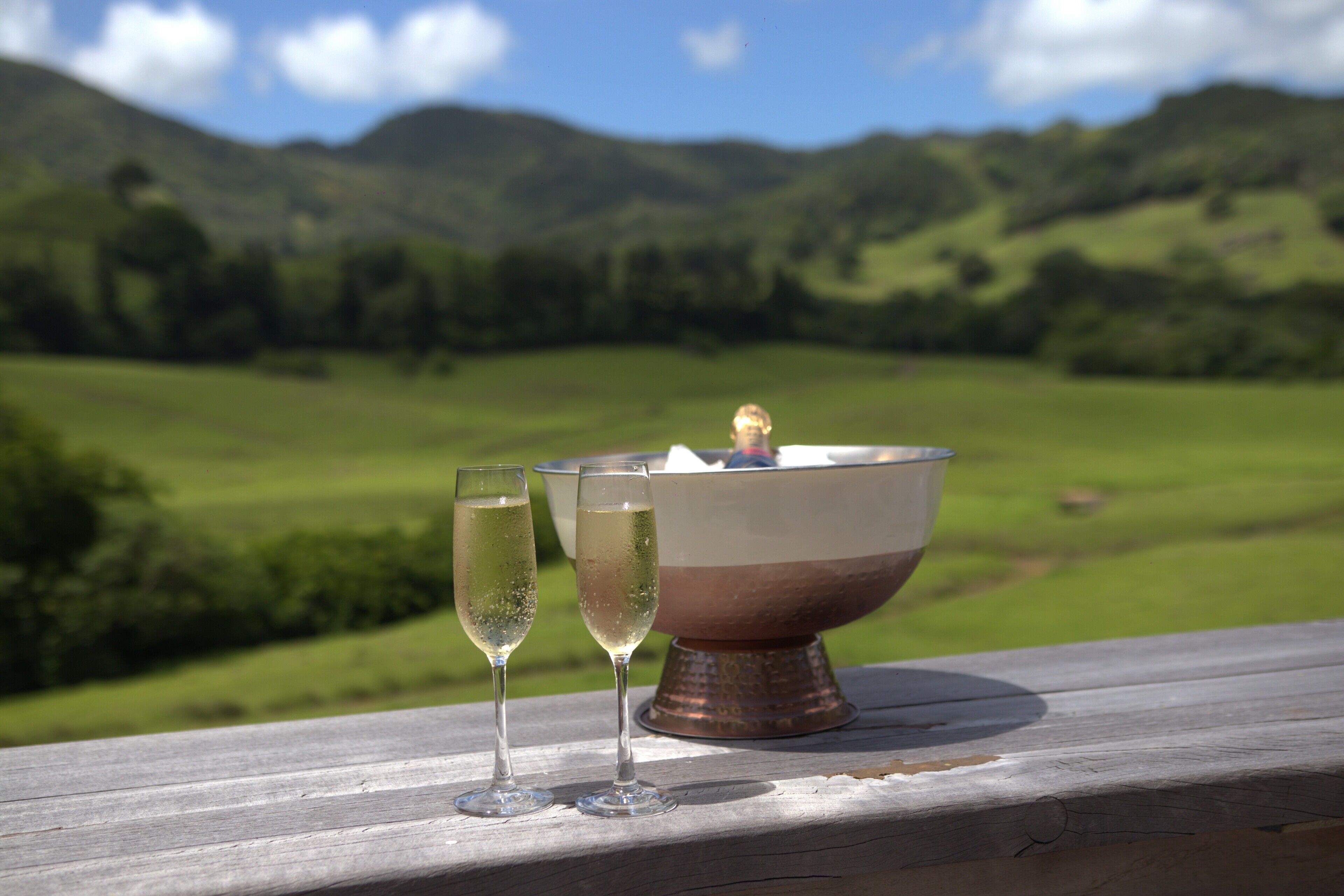 Photo - Ferney Nature Lodge