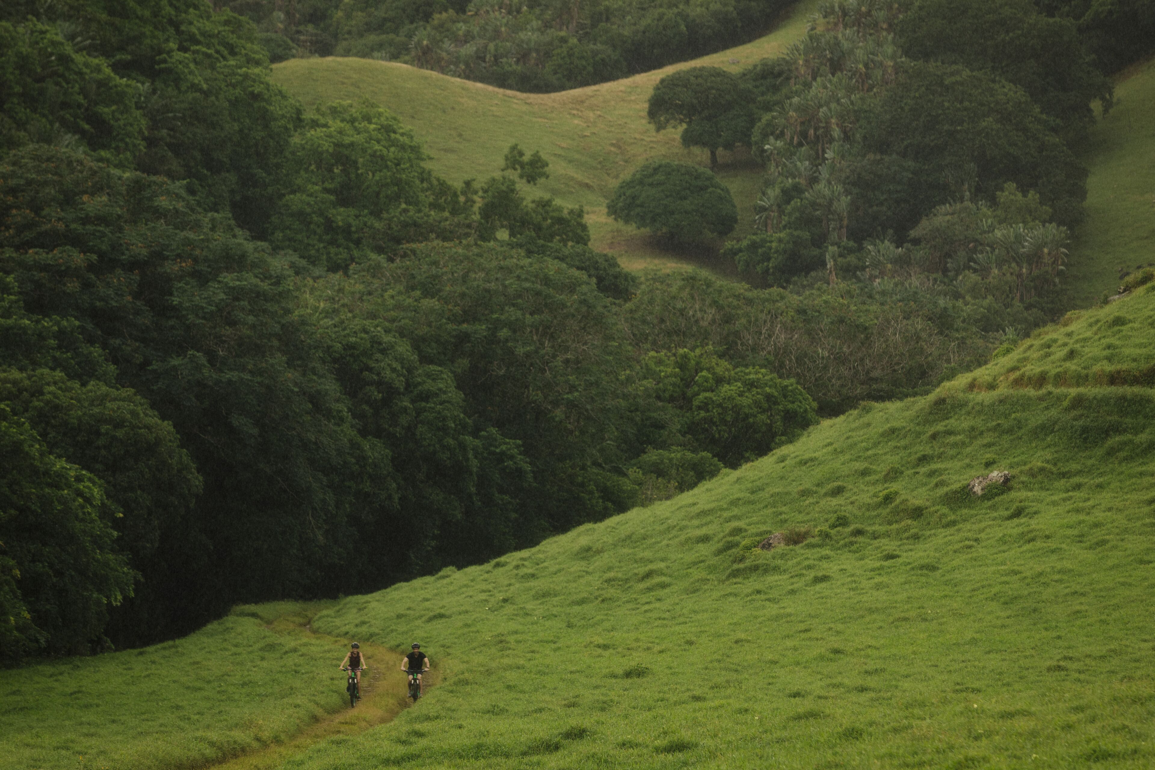 Photo - Ferney Nature Lodge